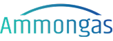 Sponsor's Logo